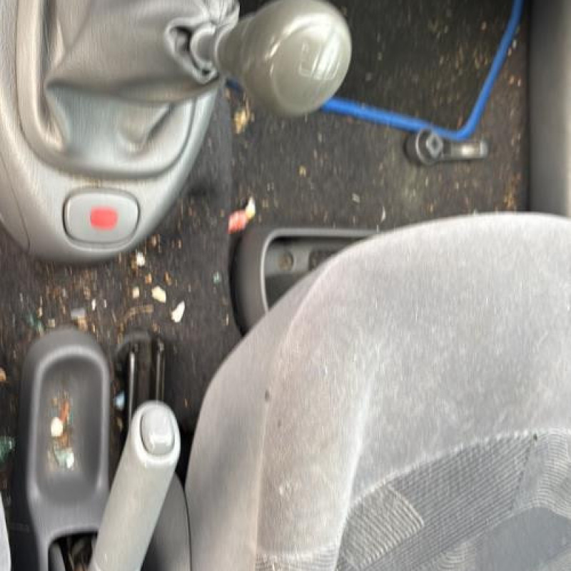 Custode arriere gauche RENAULT CLIO 2 Photo n°20