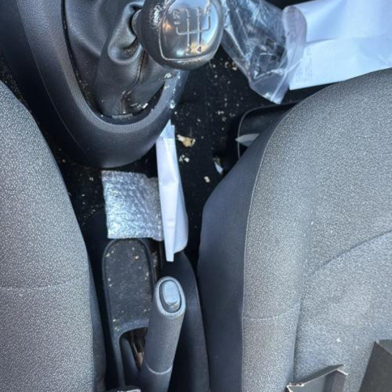 Custode arriere droit RENAULT CLIO 2 Photo n°20