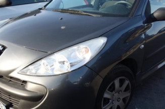 Face avant PEUGEOT 206+ Photo n°1