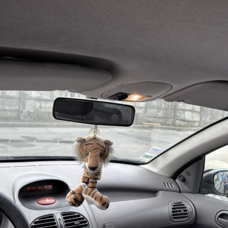 Levier de vitesses PEUGEOT 206 Photo n°13