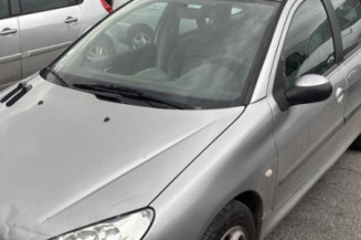 Face avant PEUGEOT 206 Photo n°1