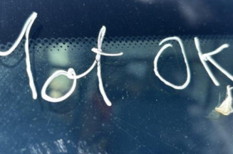 Cremaillere assistee RENAULT KANGOO 1