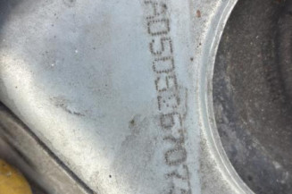 Malle/Hayon arriere RENAULT MEGANE 1