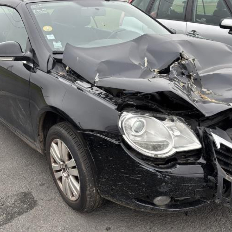 Pedale d'accelerateur VOLKSWAGEN EOS Photo n°3