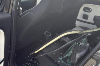 Eclairage de plafonnier RENAULT TWINGO 3