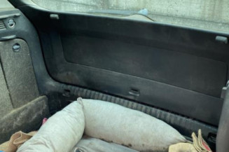 Vitre arriere gauche VOLKSWAGEN TIGUAN 1