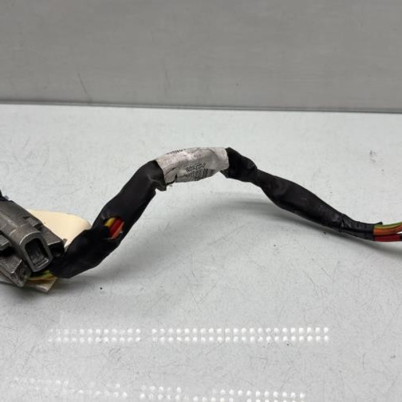 Neiman DACIA SANDERO 1 Photo n°1