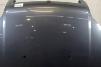 Capot FORD FUSION Photo n°1