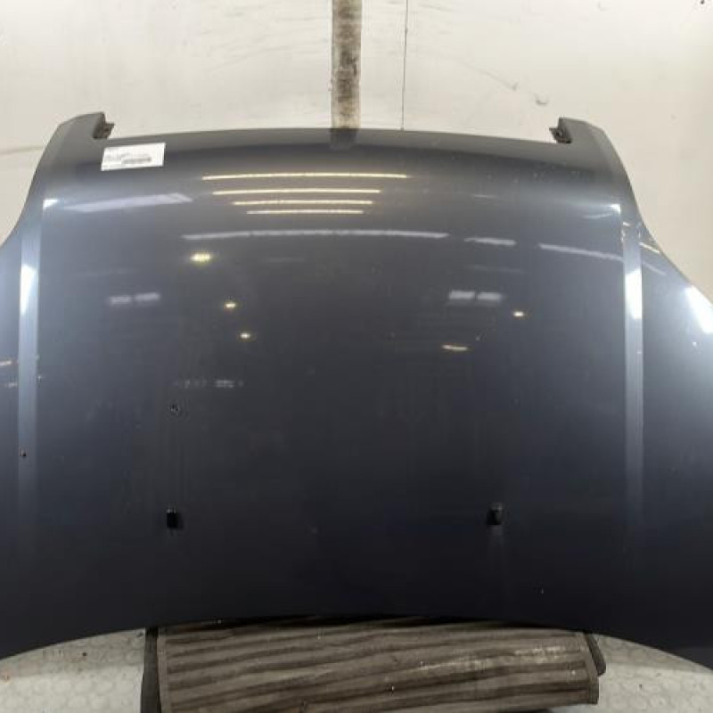 Capot FORD FUSION Photo n°1