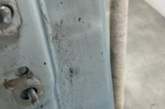 Porte arriere droit RENAULT GRAND SCENIC 2