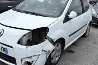 Malle/Hayon arriere RENAULT TWINGO 2