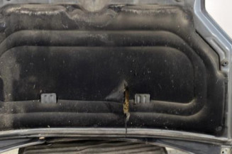 Capot CITROEN BERLINGO 1