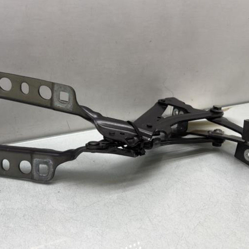 Charniere de capot CITROEN C5 AIRCROSS Photo n°3