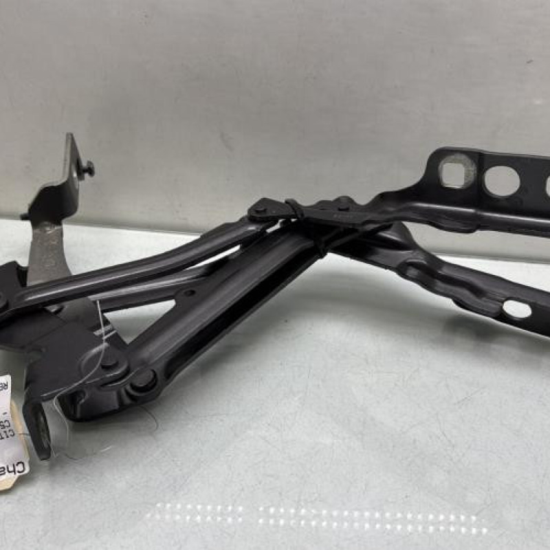 Charniere de capot CITROEN C5 AIRCROSS Photo n°4