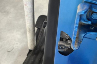 Porte arriere gauche CITROEN C3 2