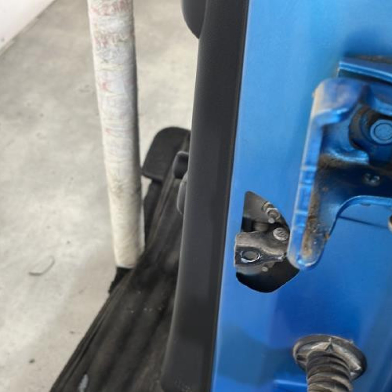 Porte arriere gauche CITROEN C3 2 Photo n°4