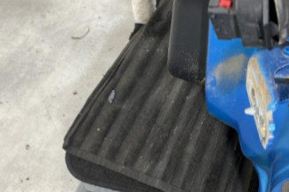 Porte arriere gauche CITROEN C3 2