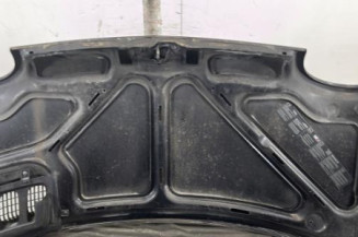 Capot RENAULT TWINGO 1