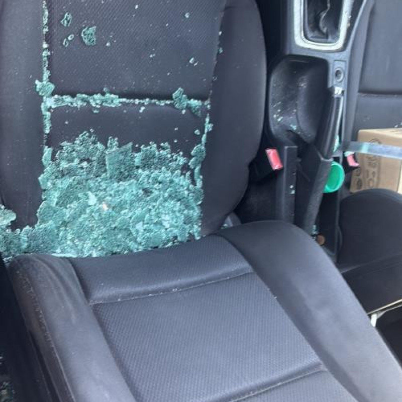 Etrier arriere gauche (freinage) AUDI A4 2 Photo n°13