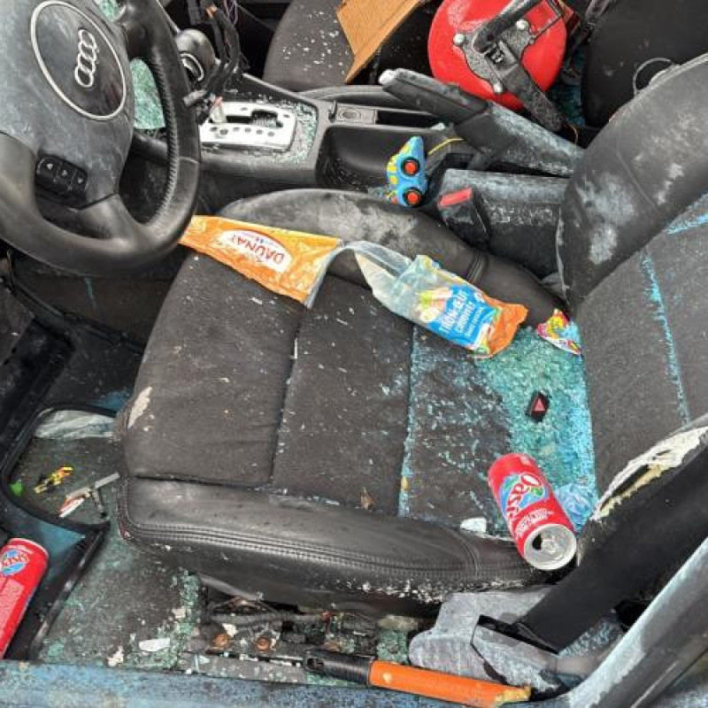 Etrier arriere droit (freinage) AUDI A4 2 Photo n°12