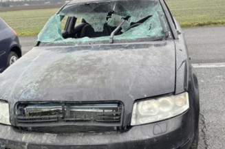 Etrier arriere gauche (freinage) AUDI A4 2