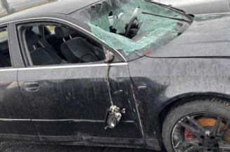 Etrier arriere gauche (freinage) AUDI A4 2