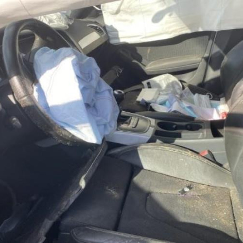 Custode arriere gauche AUDI A4 3 Photo n°17