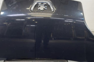 Capot PEUGEOT BIPPER Photo n°1