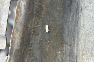 Roue de secours AUDI A1 1