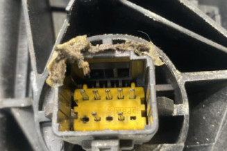 Retroviseur gauche RENAULT MEGANE 2