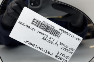 Glace retroviseur droit PEUGEOT 207 Photo n°1