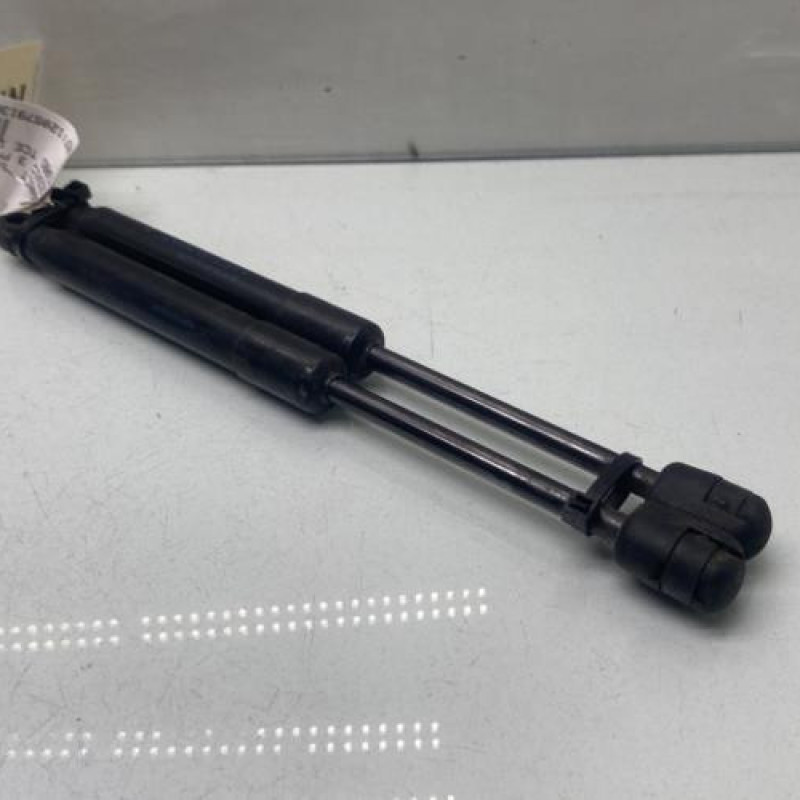 Verin de capot RENAULT SCENIC 3 Photo n°2