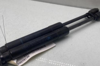 Verin de capot RENAULT SCENIC 3