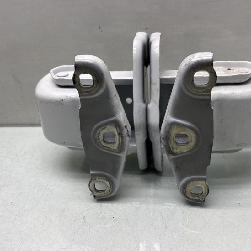 Charniere de porte de coffre droit NISSAN PRIMASTAR 2 Photo n°3