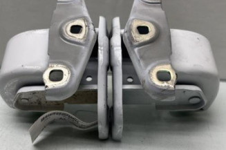 Charniere de porte de coffre droit NISSAN PRIMASTAR 2