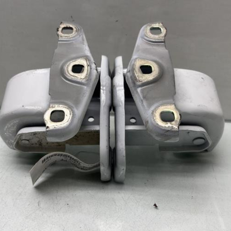 Charniere de porte de coffre droit NISSAN PRIMASTAR 2 Photo n°4