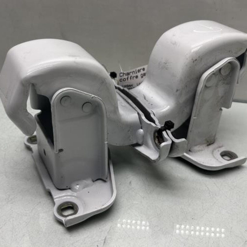 Charniere de porte de coffre gauche NISSAN PRIMASTAR 2 Photo n°1