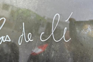 Charniere de porte de coffre gauche NISSAN PRIMASTAR 2