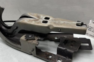 Charniere de capot PEUGEOT 3008 1 Photo n°1