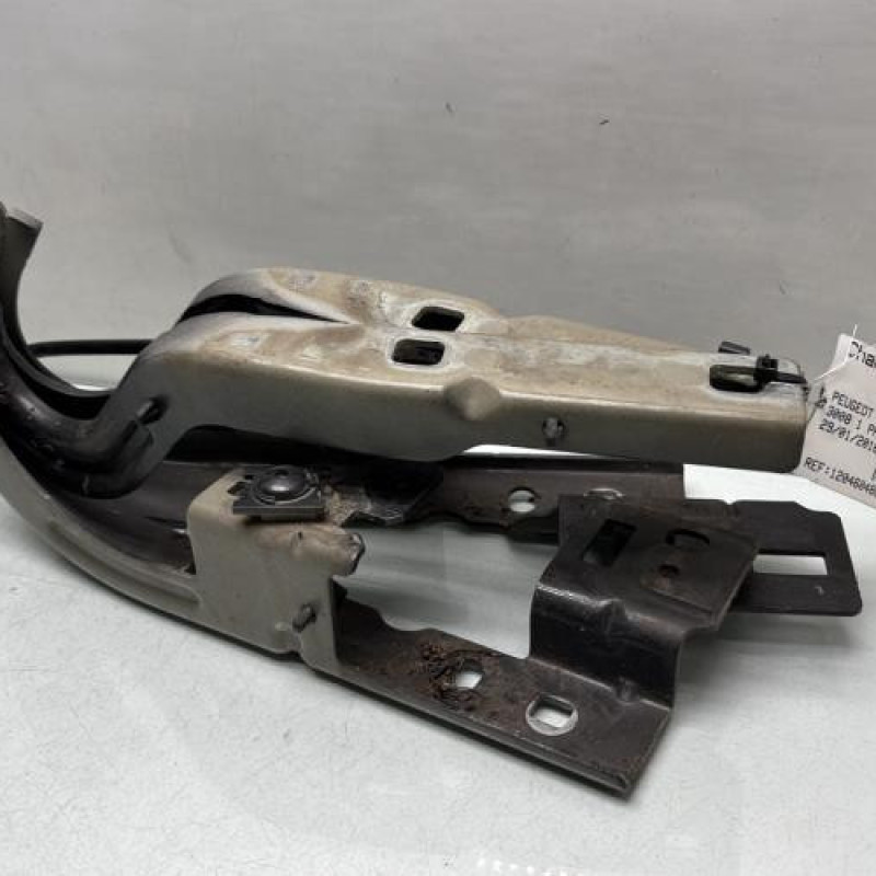 Charniere de capot PEUGEOT 3008 1 Photo n°1