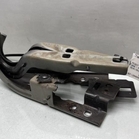 Charniere de capot PEUGEOT 3008 1 Photo n°1