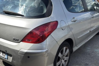 Mastervac PEUGEOT 308 1