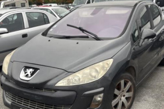 Mastervac PEUGEOT 308 1 Photo n°1