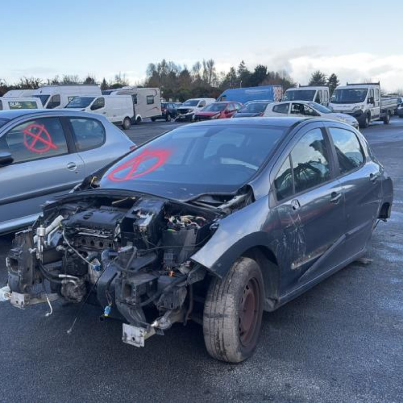 Mastervac PEUGEOT 308 1 Photo n°1