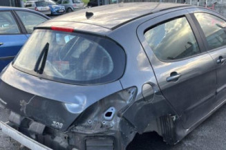 Mastervac PEUGEOT 308 1