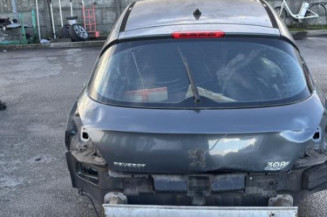 Mastervac PEUGEOT 308 1