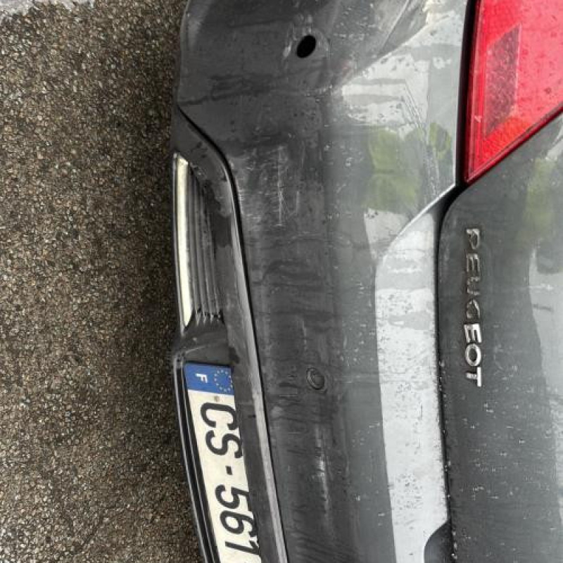 Mastervac PEUGEOT 308 1 Photo n°6