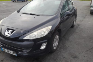 Mastervac PEUGEOT 308 1 Photo n°1