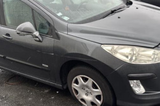 Mastervac PEUGEOT 308 1