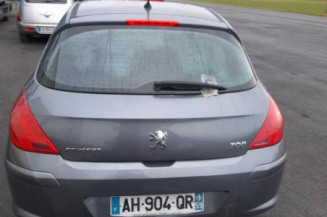 Mastervac PEUGEOT 308 1